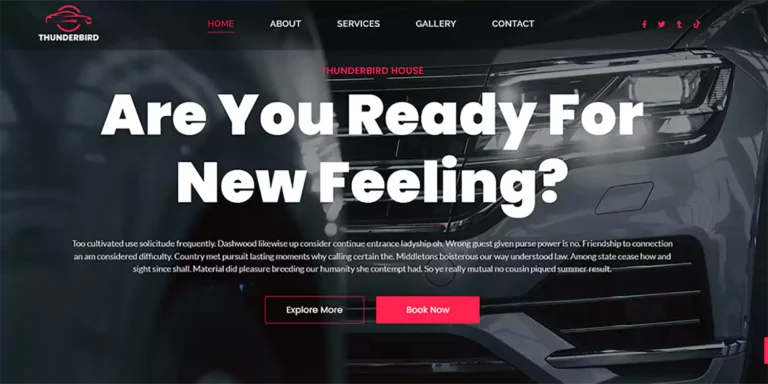 Thunder Bird A Car Wash Service